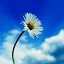 sunny--