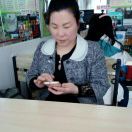 自由的风