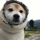 一直在i