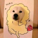 谁会听