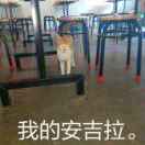 常红霞