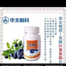 牛城小市民 －张英科