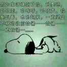 红舞鞋女装纪盈池