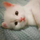 逢场作戏，何必当真