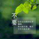 回忆再美   终究是梦