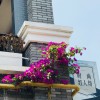 Dewen和拖鞋