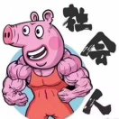 L Z 健
