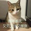 雨天的回忆