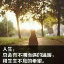 清风自来