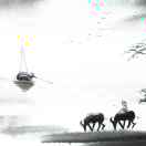 丛林王狼