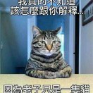 ♢少年先疯队队长