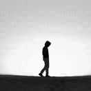 Wander