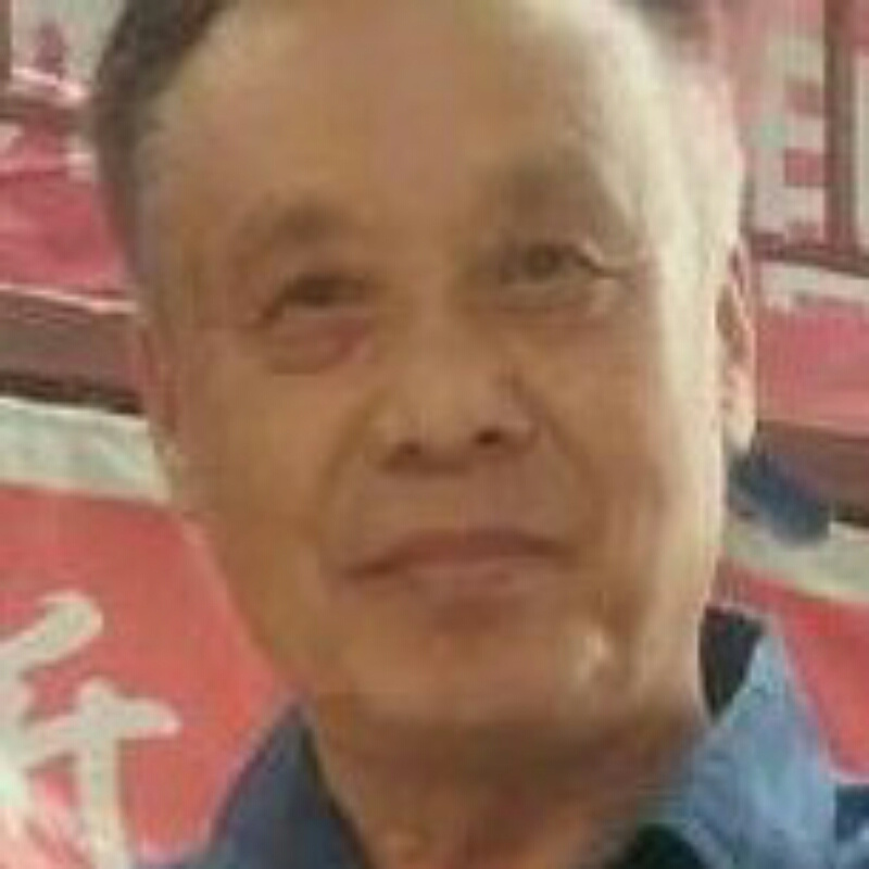 啄木鸟