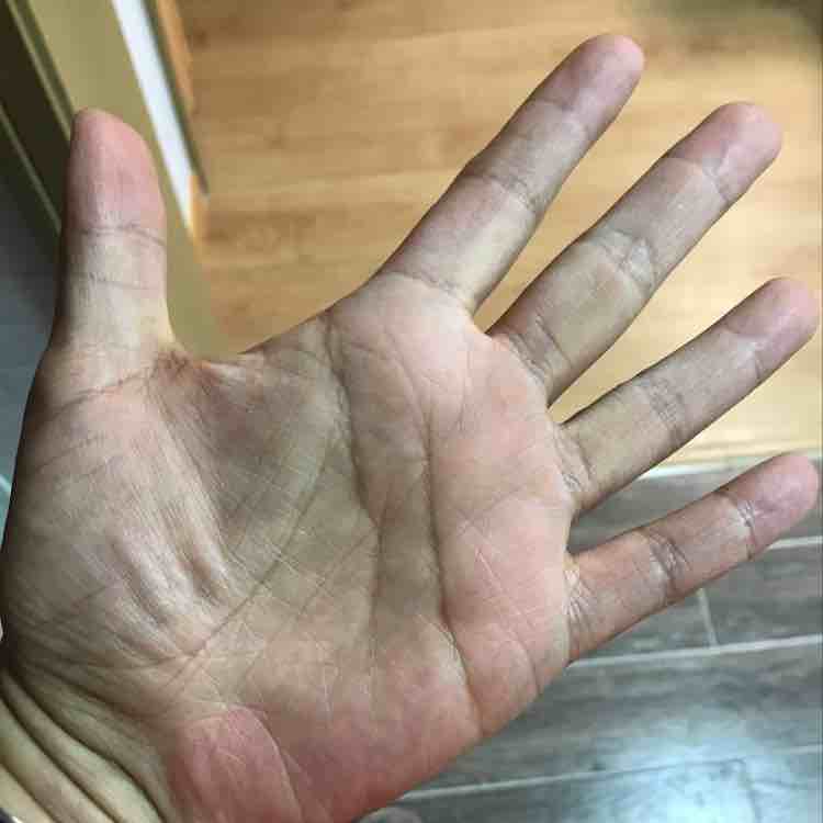 鯝鰵鰑