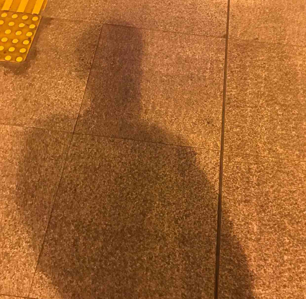 雨倦心去时爱眠