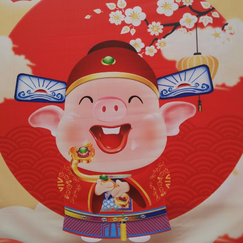 快乐阳光之吴晨