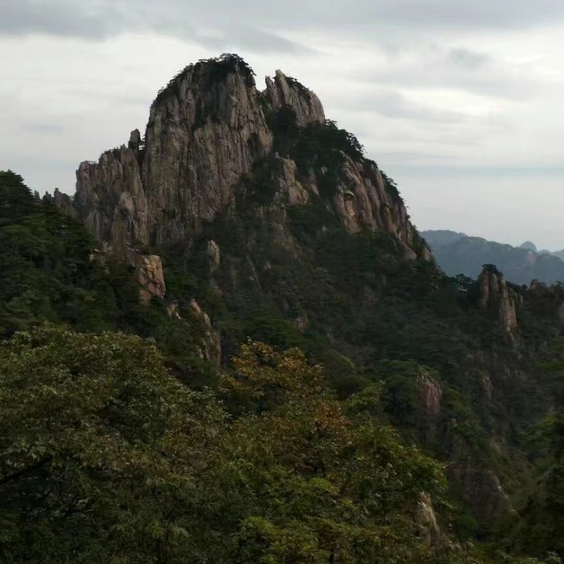 心思