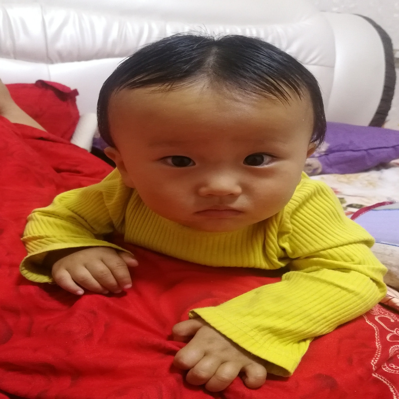西宁顺杰钢模板