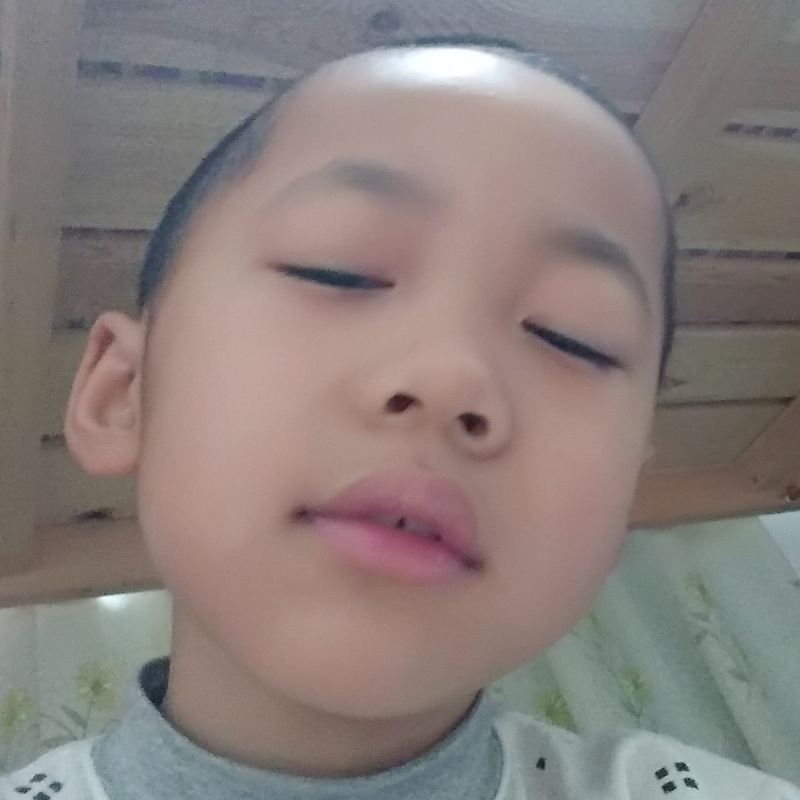 小狗狗。
