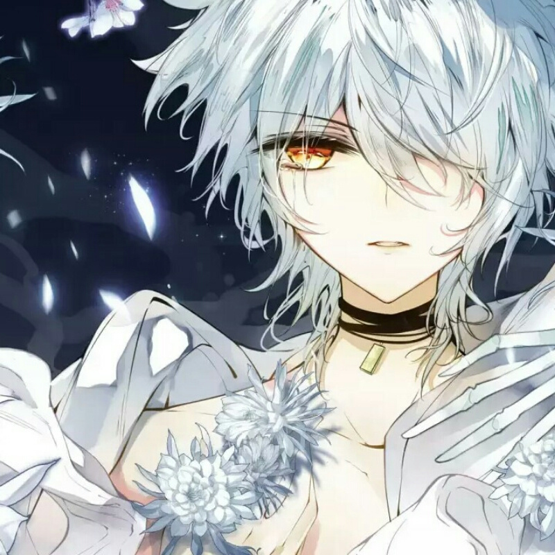 泽澤黎
