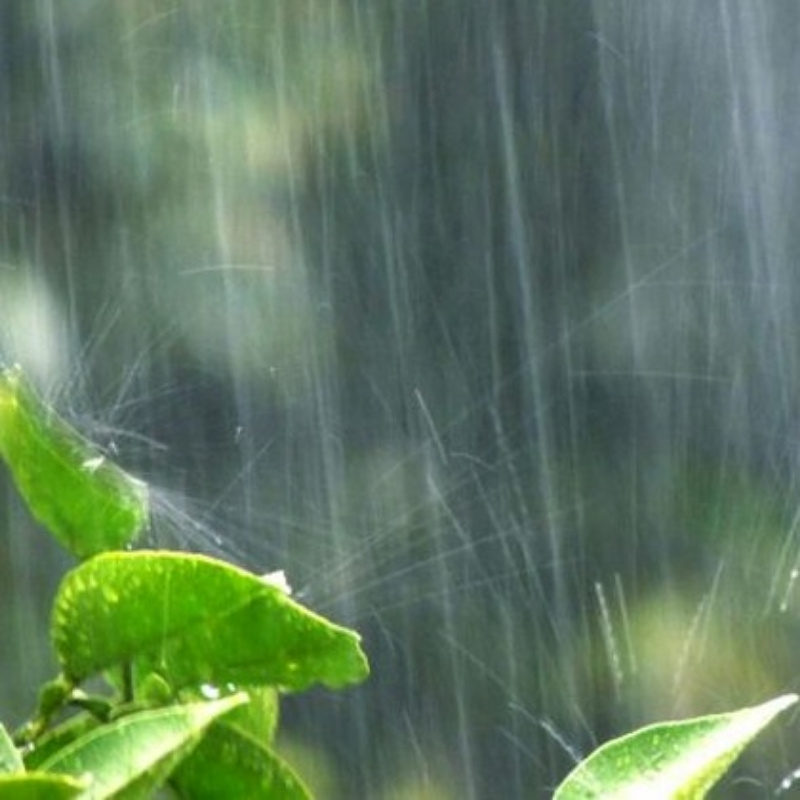 雨霁晚霞虹