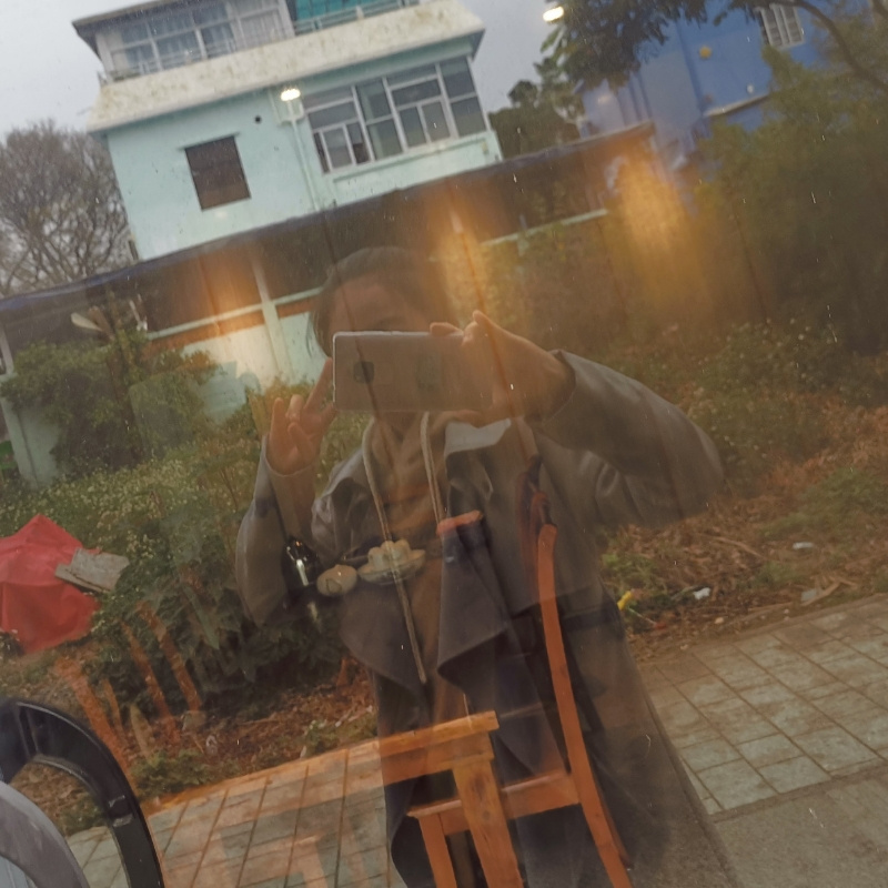 凤凰花a