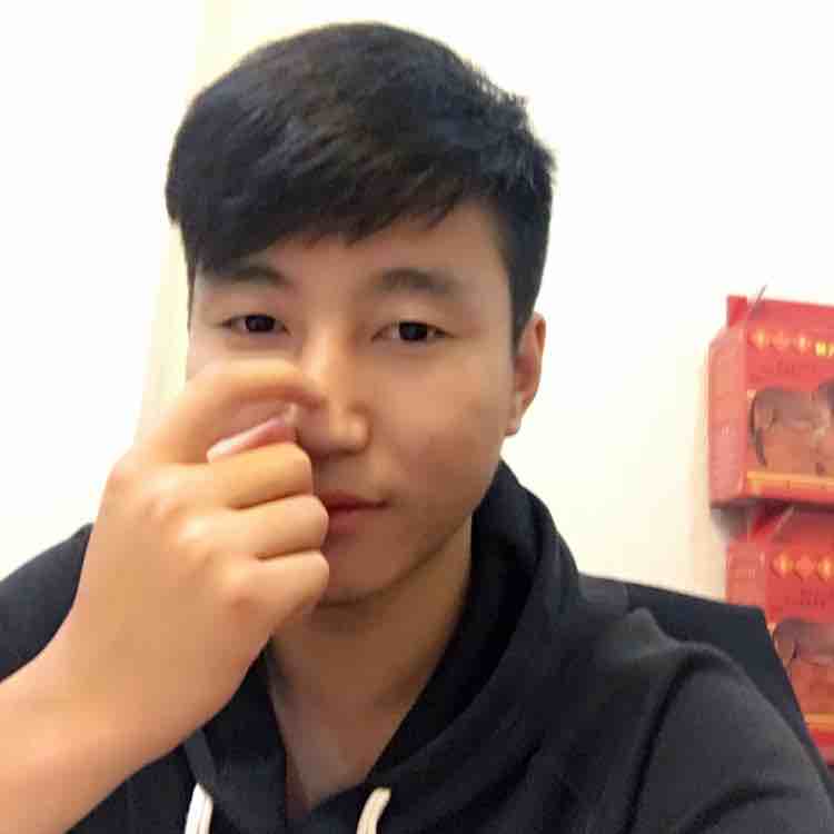 飞翔的坂砖