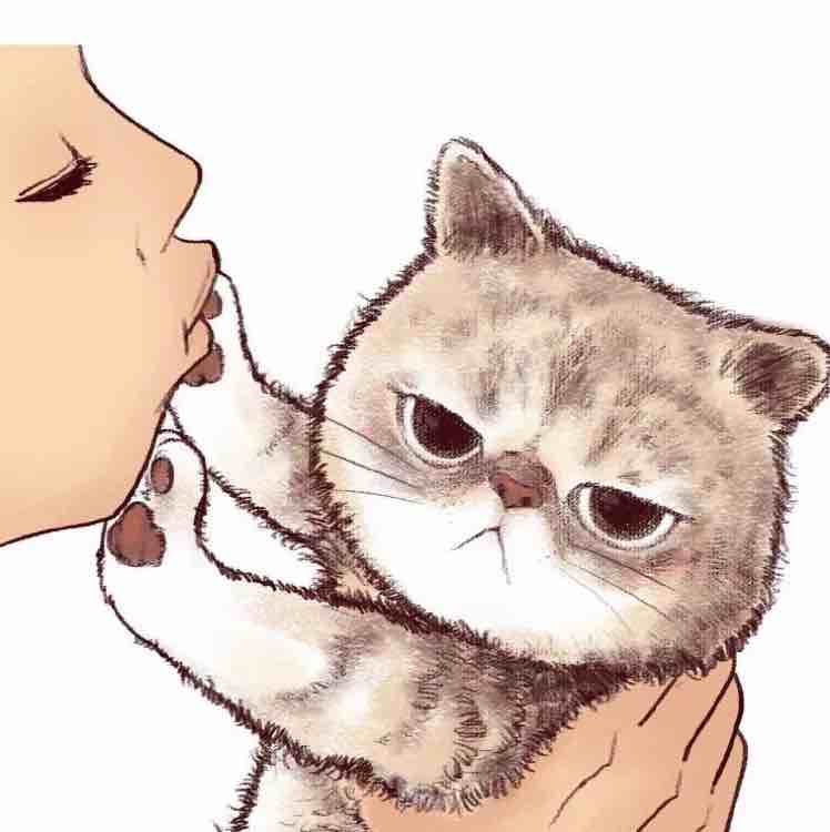 Vous