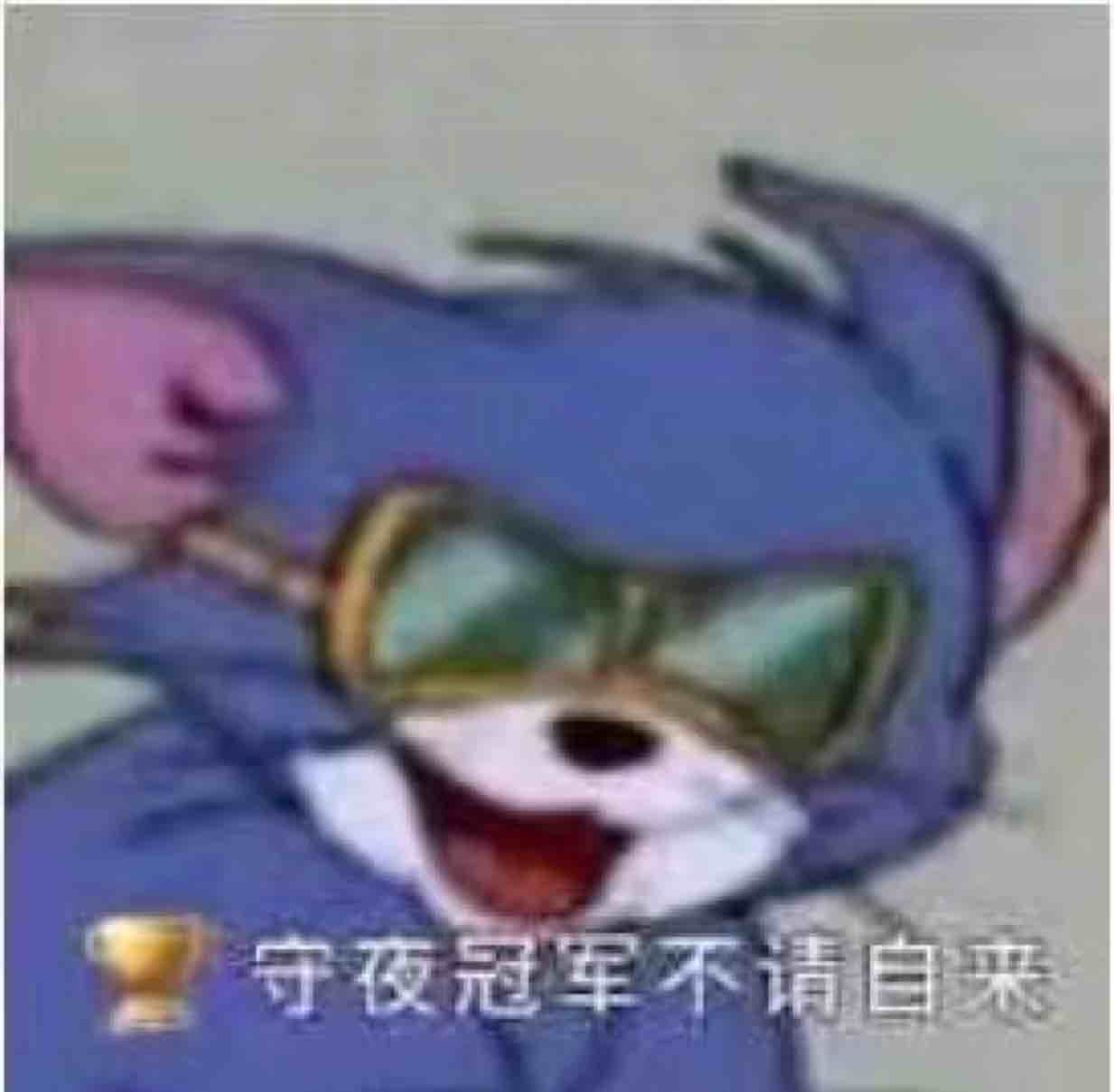 何猫猫0818