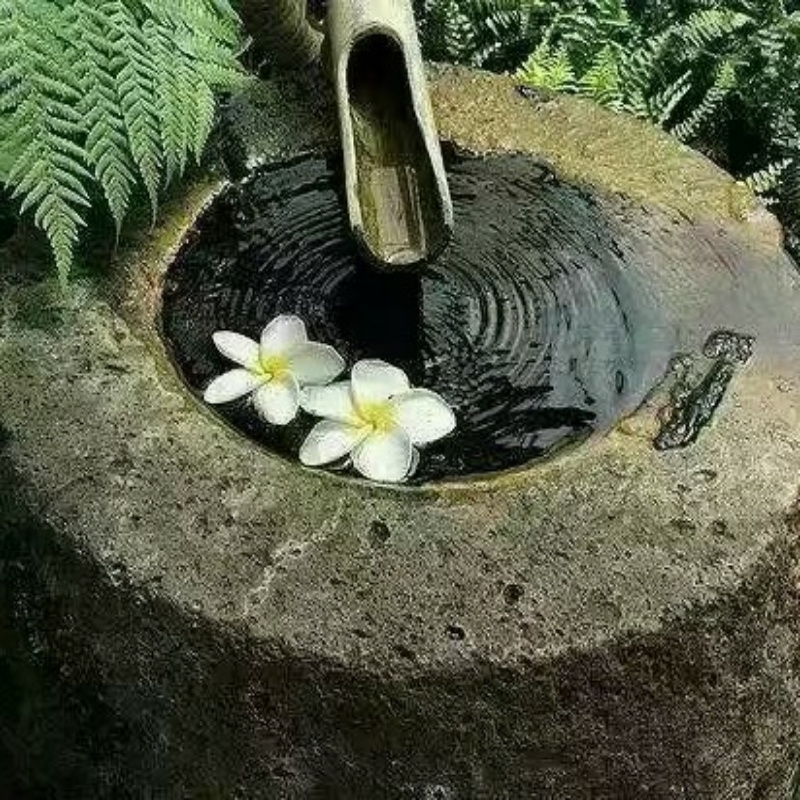 善缘