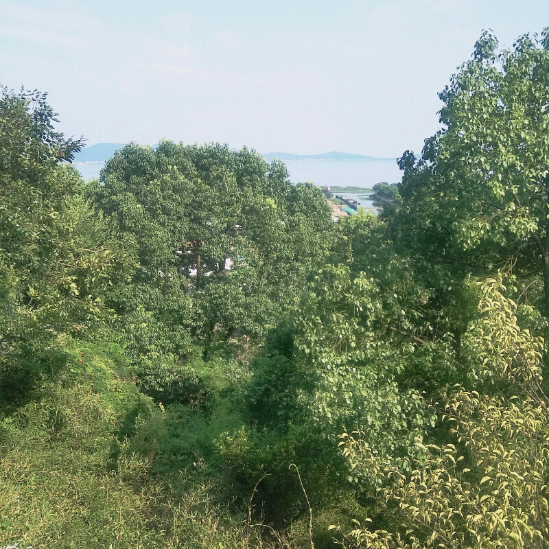 闫贻军