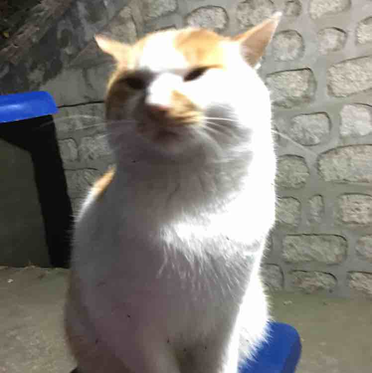 ye9280