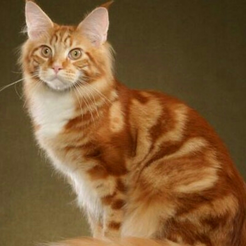 万般皆是命半点不尤人。