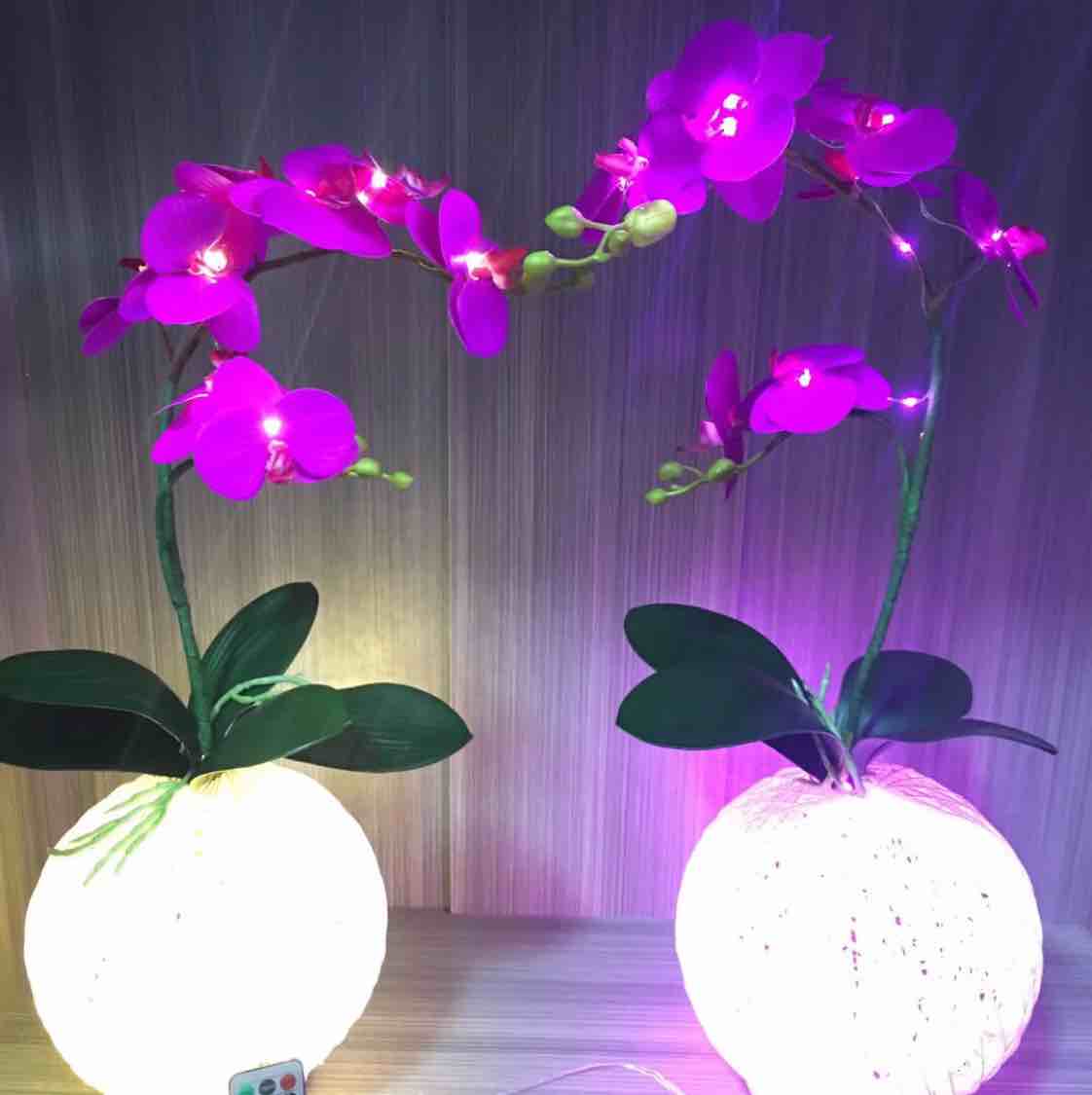 曌鸿光电厂