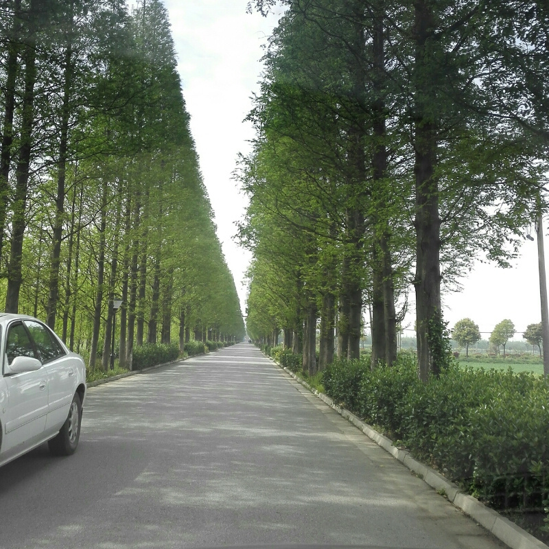 民治路