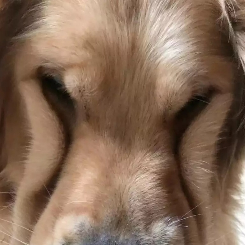 沙漏里的蚂蚁