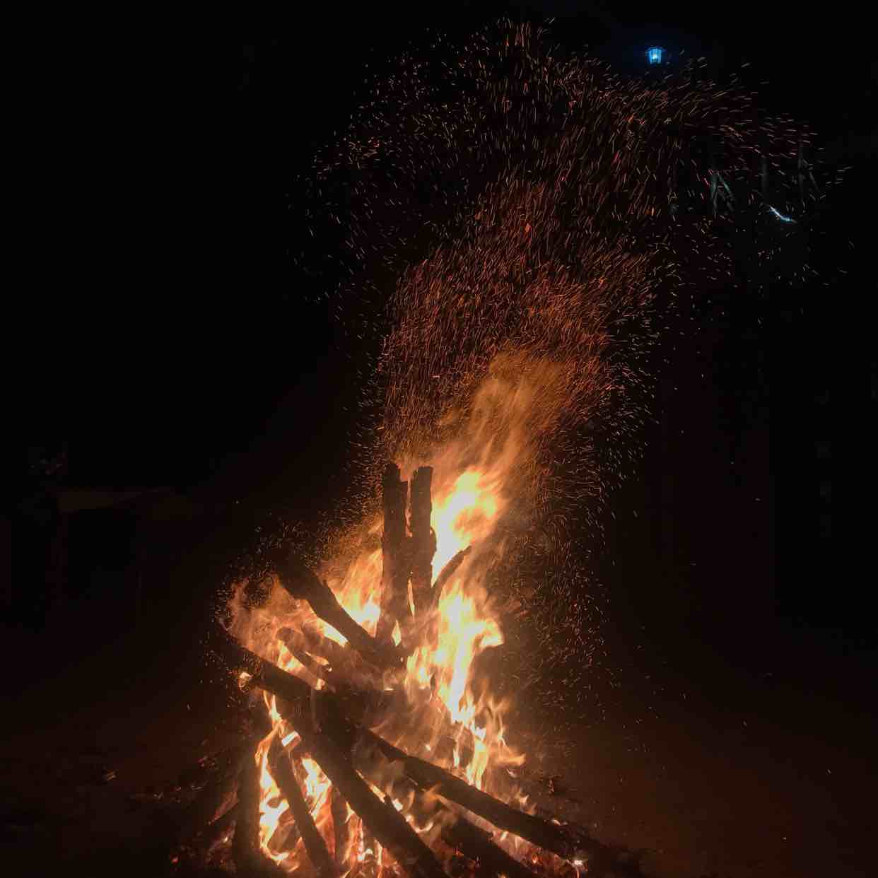 丹尼尔2019