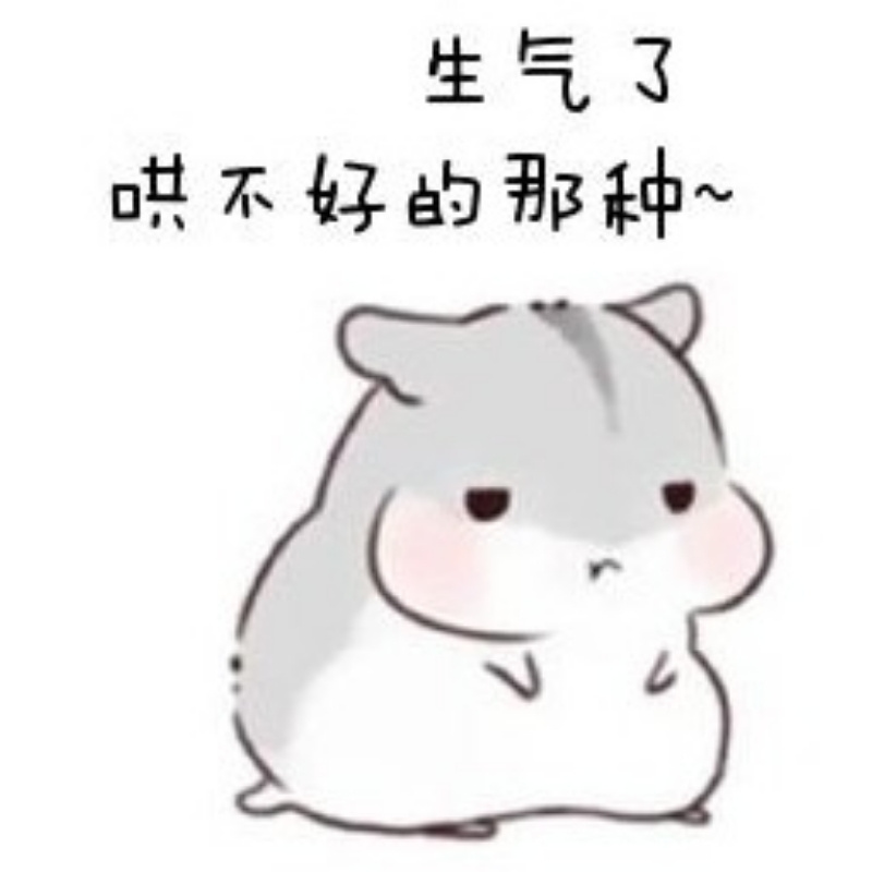 九天之星