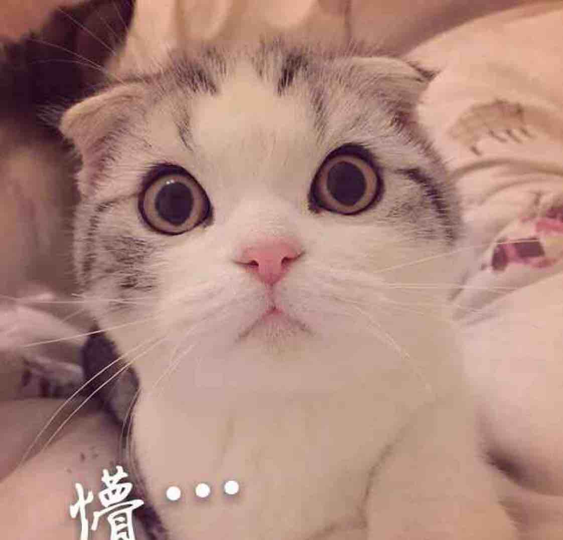 D.