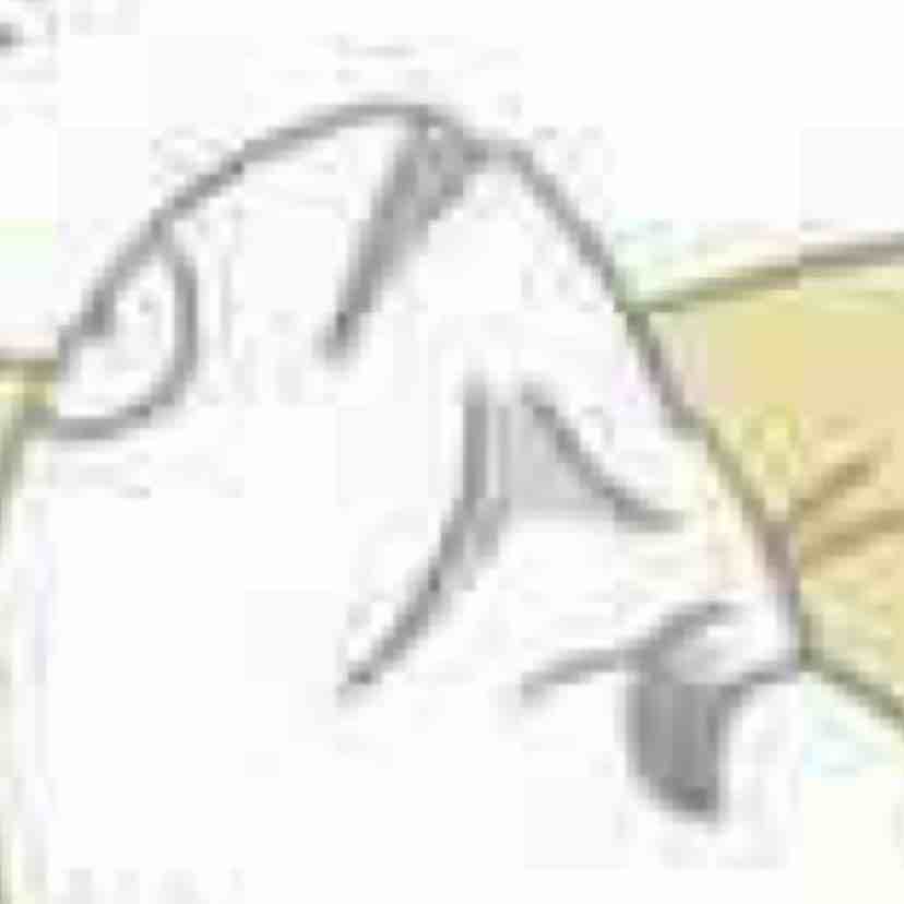 豪某