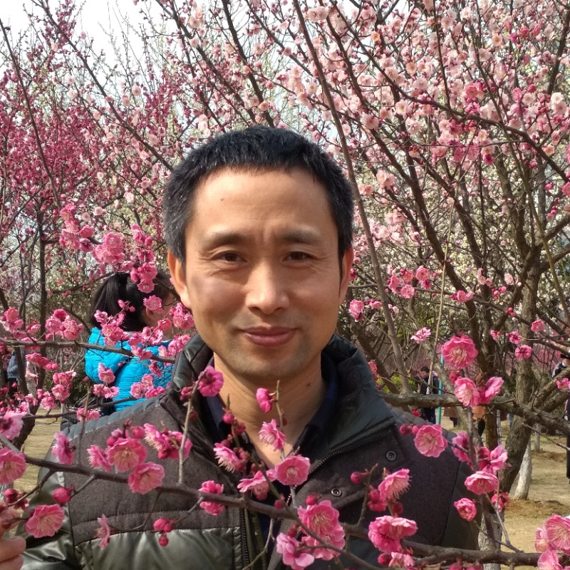 李峰