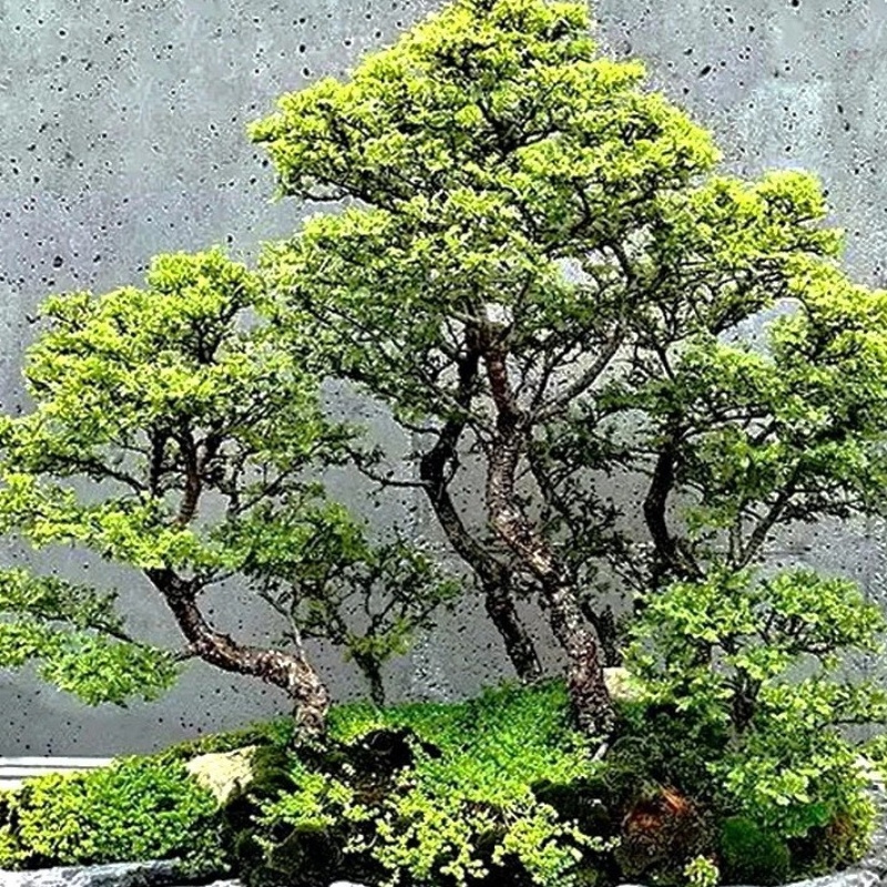 山特110