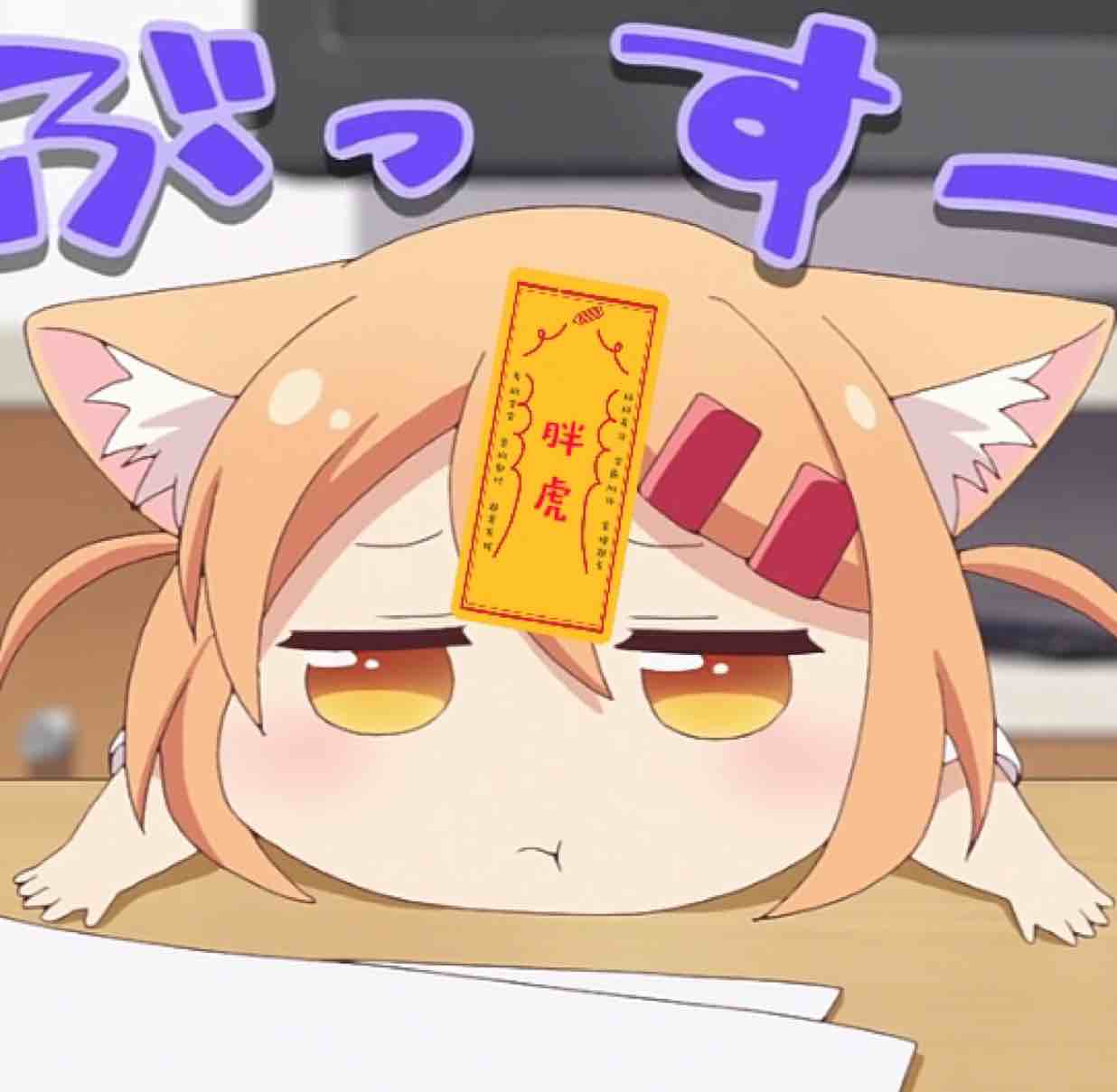 痛猫家的胖虎