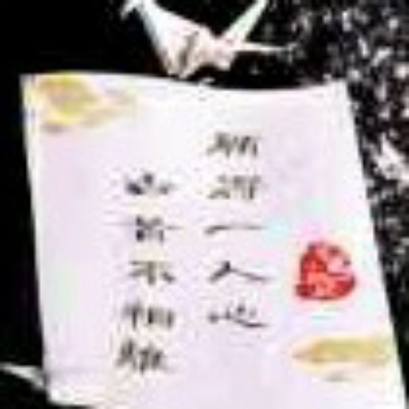 乐先生