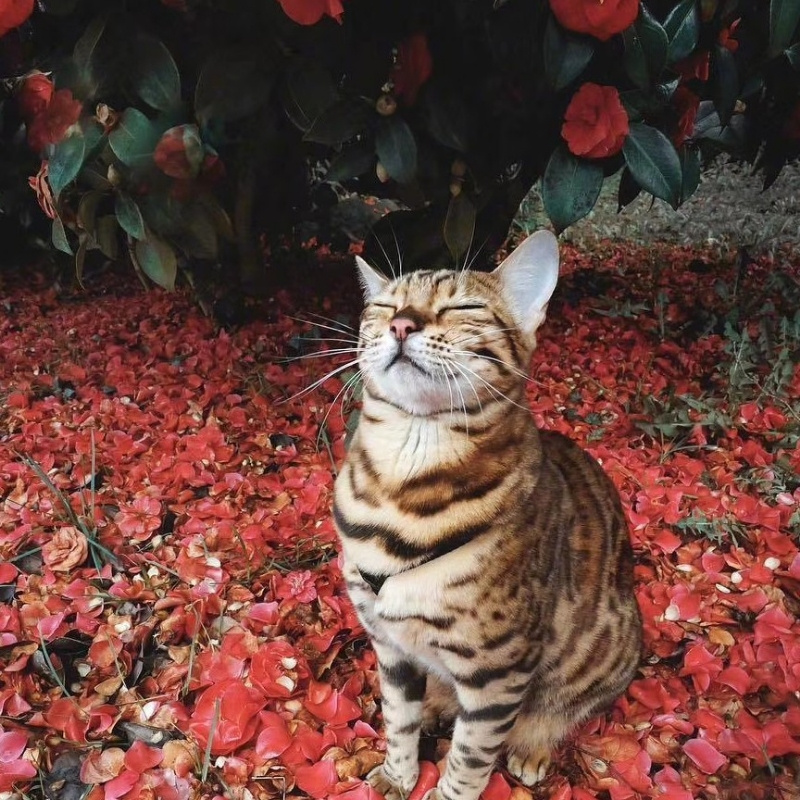 韩儿٩(๑`н´๑)۶