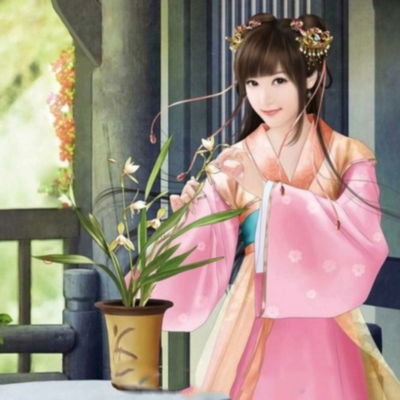 西环桃花