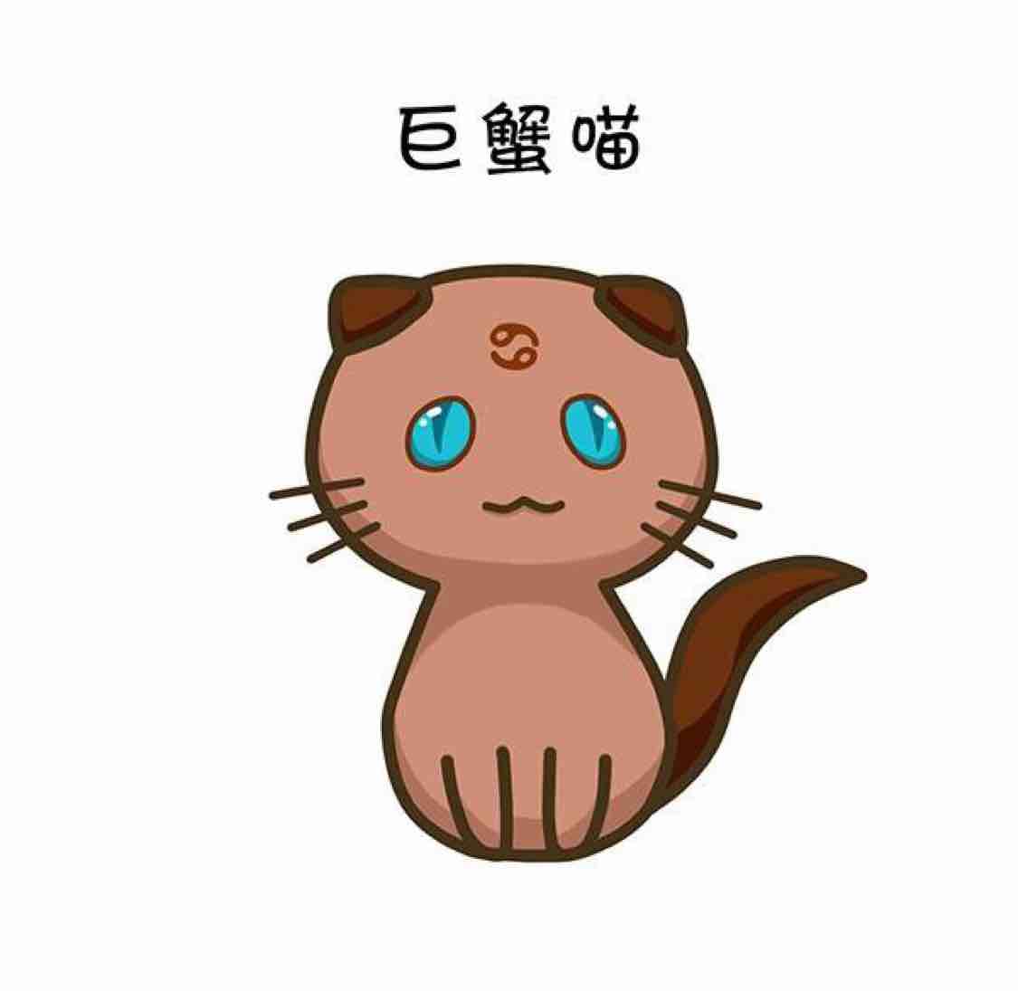喵呜噜