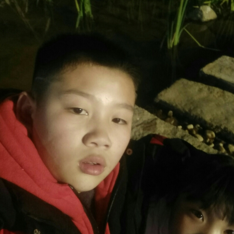 向着太阳☀奔跑