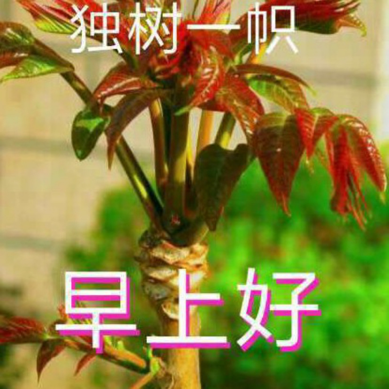 快乐