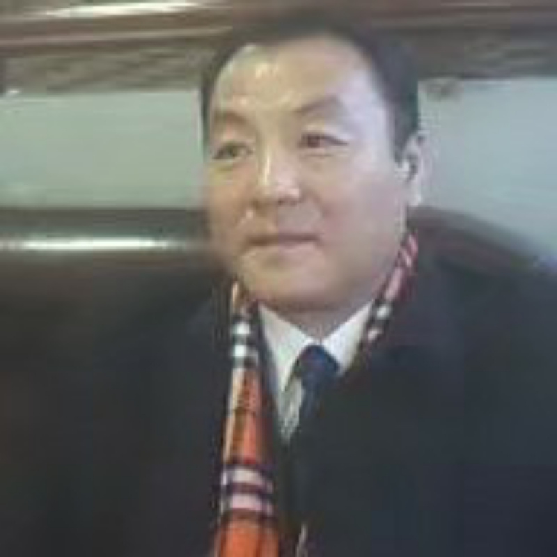 傲松瑞雪
